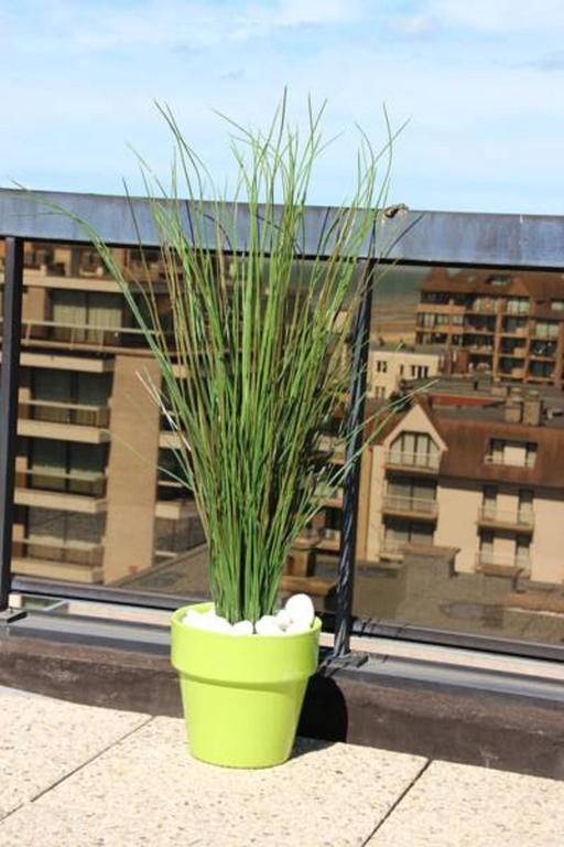 Apartamento Duplex Penthouse Plaza De Panne Habitación foto